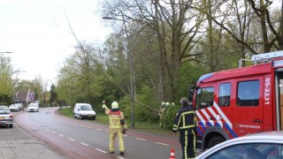 Meerdere meldingen stormschade in regio: boom over de weg in Overdinkel