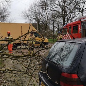De boom raakte een auto op een carpoolplaats in Hengelo