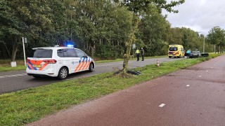 Auto botst op boom in Enschede