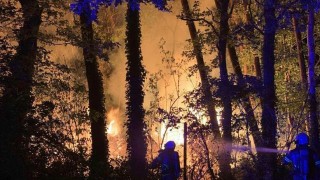 Forse brand in bosgebied nabij camping in Haaksbergen