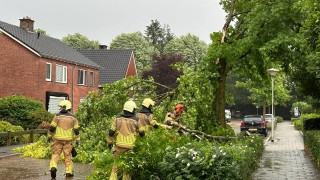 Boom knapt in Vriezenveen, brandweer opgeroepen
