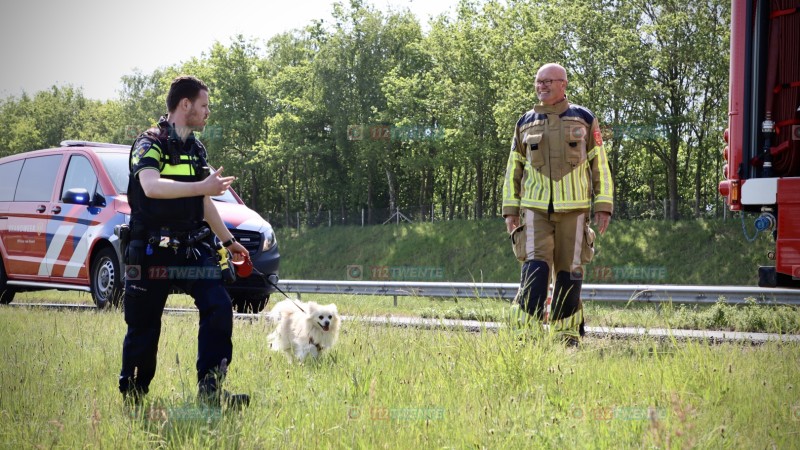 Bestuurster krijgt riem van hond om haar hals op A1 bij Oldenzaal