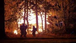 Brand in bosgebied langs de N739 bij Hengelo