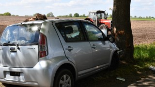 Auto botst frontaal op boom in Daarle: vrouw gewond