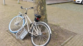 Aanrijding tussen een lijnbus en fietsster in centrum Enschede