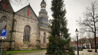Omgezaagde grote kerstboom in Ootmarsum opnieuw geplaatst