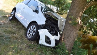 Auto botst tegen boom langs kanaal in Westerhaar: vrouw gewond