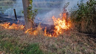 Opnieuw bermbrand in Hengelo, vermoedelijk brandstichting