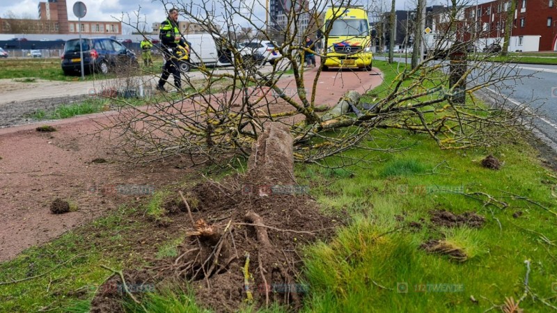 Auto vliegt van de weg in Enschede: boom en busje geramd