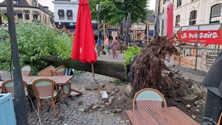 Ravage door storm in Twente: boom over terras in Enschede