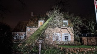 Grote boom valt op woning in Hengelo