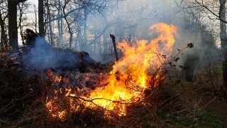 Twee branden in bosgebied bij Overdinkel