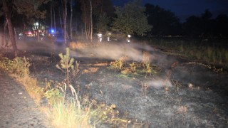 Brandweer blust heidebrand in Nijverdal