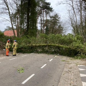 De boom lag over de Luttenbergerweg in Hellendoorn