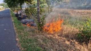 Brandweer blust bermbrand in Hengelo
